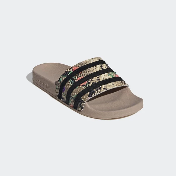 Chanclas Adidas adilette Mujer Beige | 20JKYTNG