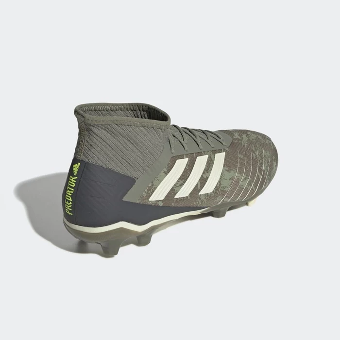 Tacos De Futbol Adidas Predator 19.2 Firm Ground Hombre Verde | 31MKOLPW