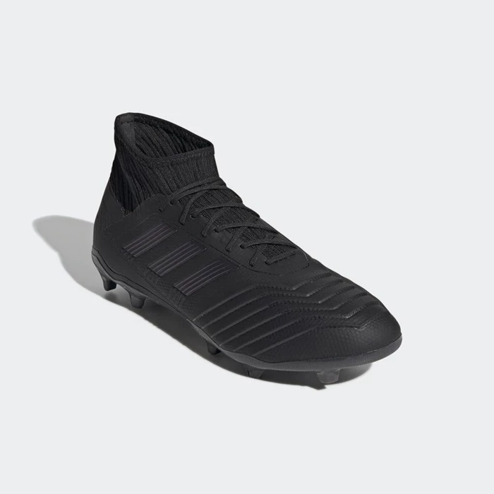 Tacos De Futbol Adidas Predator 19.2 Firm Ground Hombre Negras | 92DFAGRK