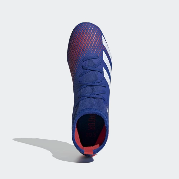 Tacos De Futbol Adidas Predator 20.3 Firm Ground Hombre Azules | 67AVSJFN