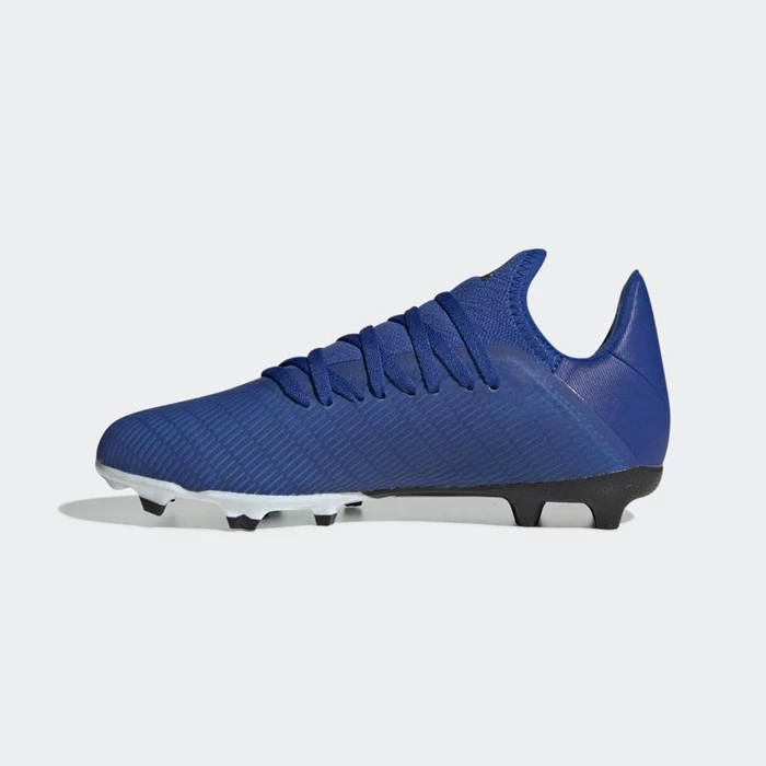 Tacos De Futbol Adidas X 19.2 Firm Ground Hombre Azules | 07NYZGOV