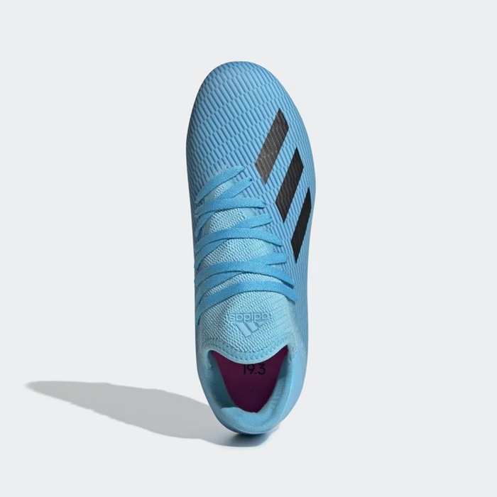 Tacos De Futbol Adidas X 19.2 Firm Ground Hombre Azules | 83TWKGMX