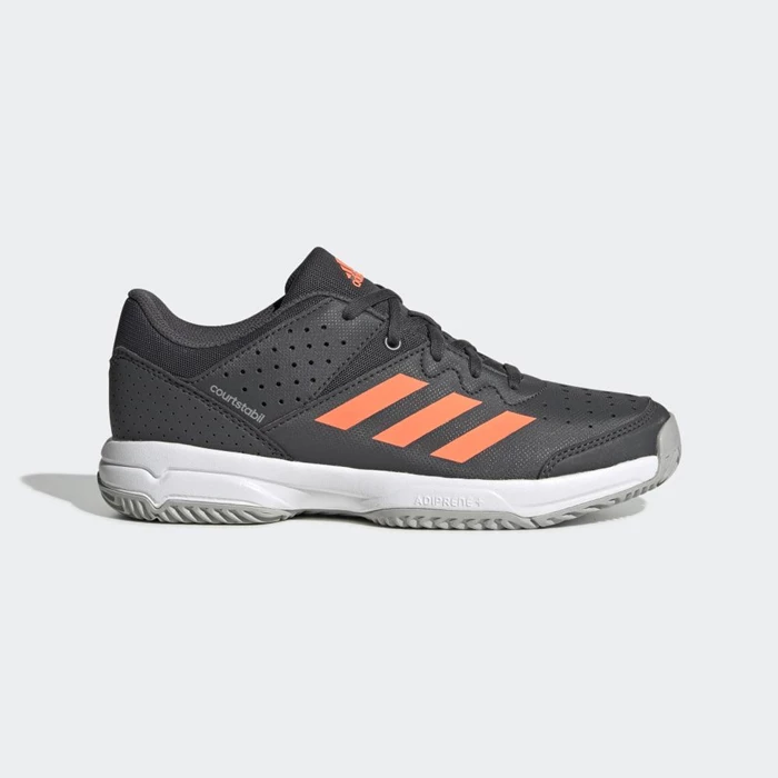 Zapatillas De Balonmano Adidas Court Stabil Niños Gris | 14SQJWRT