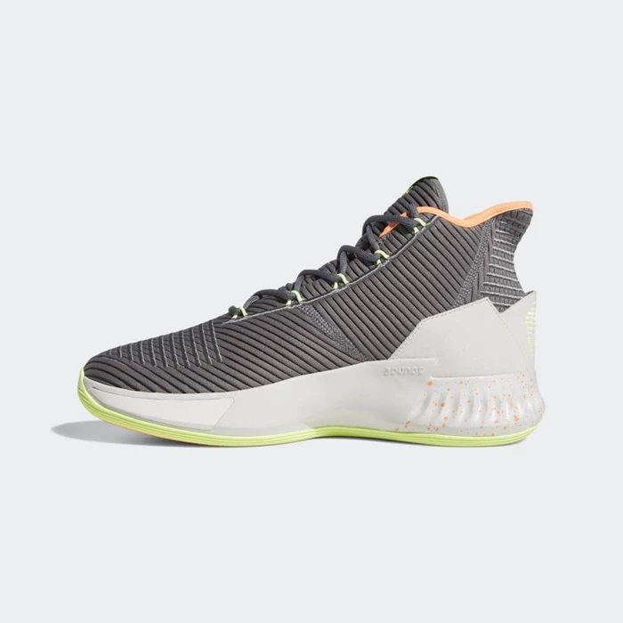 Zapatillas De Balonmano Adidas D Rose 9 Hombre Gris | 79LDCRKI