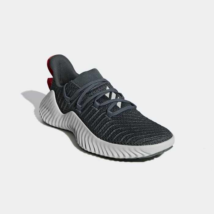 Zapatillas Deportivos Adidas Alphabounce Hombre Gris | 16SCDBPU