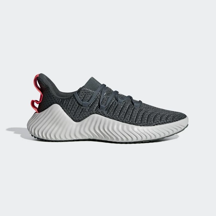 Zapatillas Deportivos Adidas Alphabounce Hombre Gris | 16SCDBPU