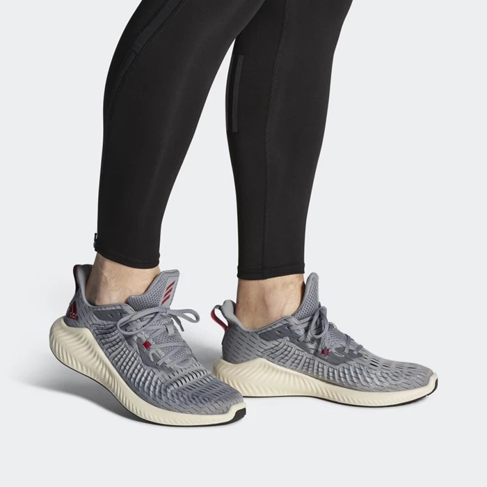 Zapatillas Running Adidas Alphabounce+ Hombre Gris | 65FTMQYE