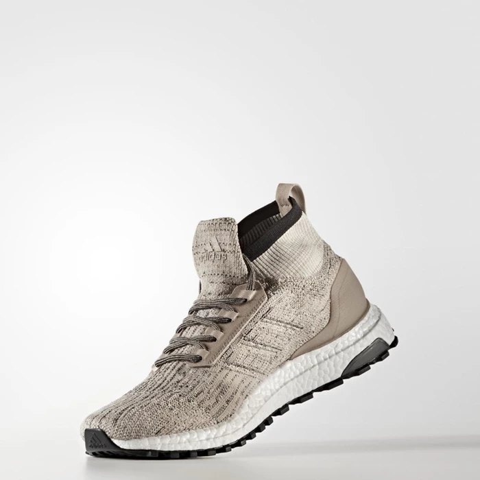 Zapatillas Running Adidas Ultraboost All Terrain LTD Hombre Marrones | 89KCMPZN