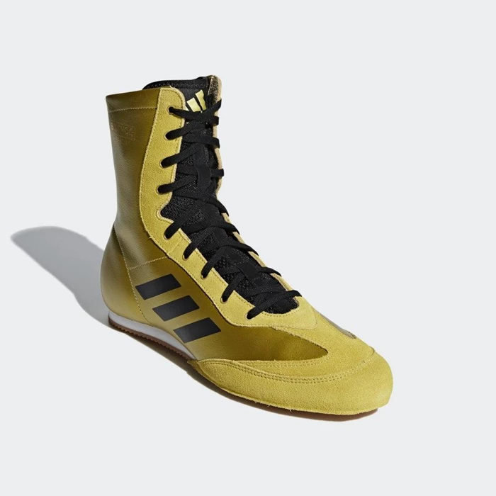 Zapatos De Boxeo Adidas Box Hog x Special Hombre Doradas | 97PHVNUS