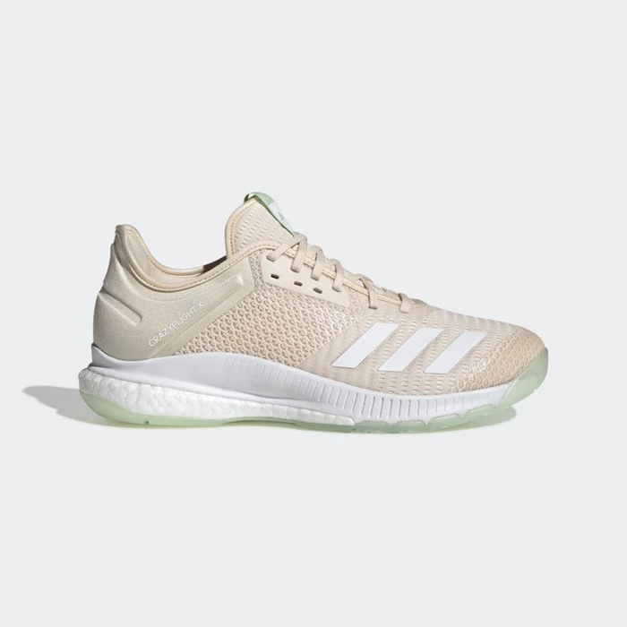 Zapatos De Voleibol Adidas Crazyflight X 3 Mujer Beige | 74QUIGLJ